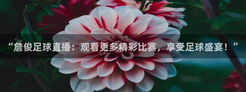 “詹俊足球直播：观看更多精彩比赛，享受足球盛宴！”